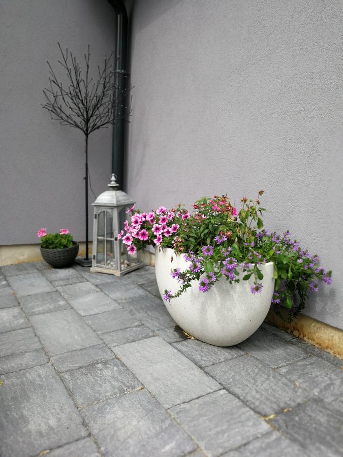Zsinko Villa ペーチ エクステリア 写真